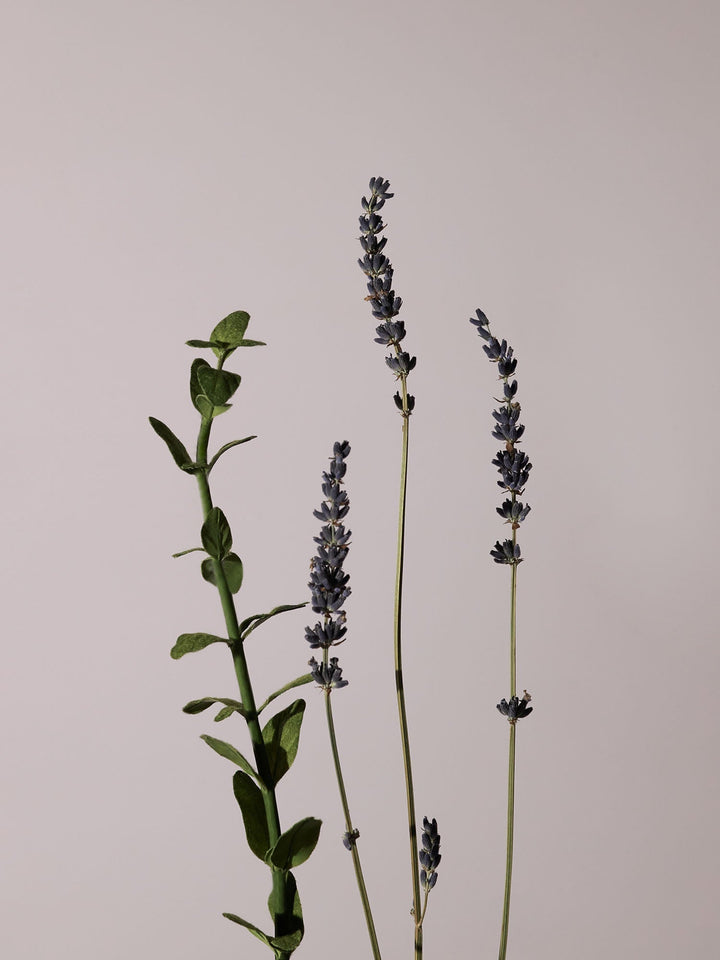 Serene Body Oil Lavender &amp; Marjoram