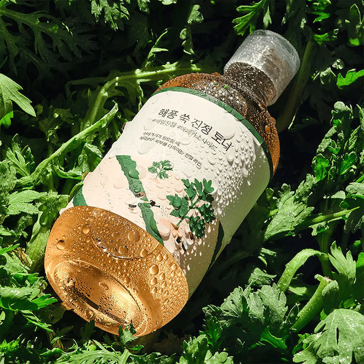 Mugwort Calming Toner 300ml Round LAB