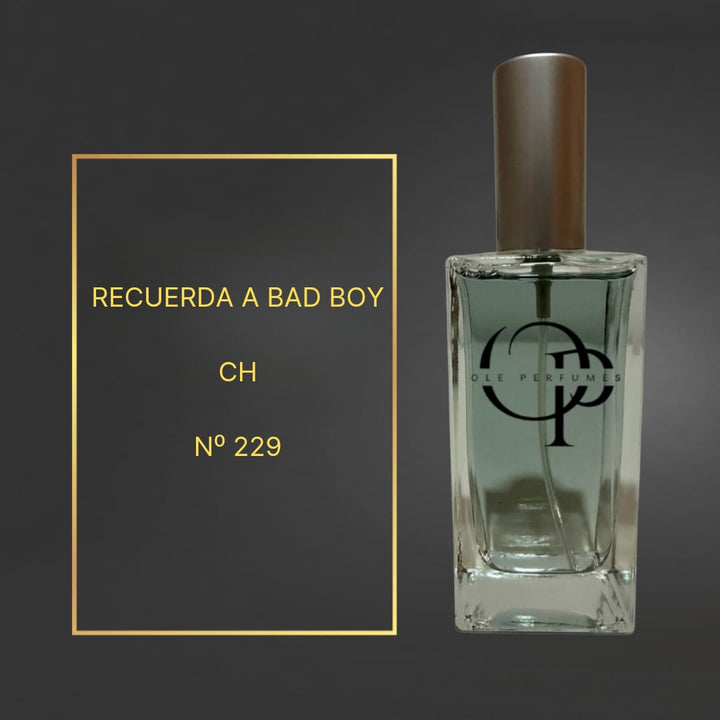 229 INSPIRADO EN BAD BOY CH