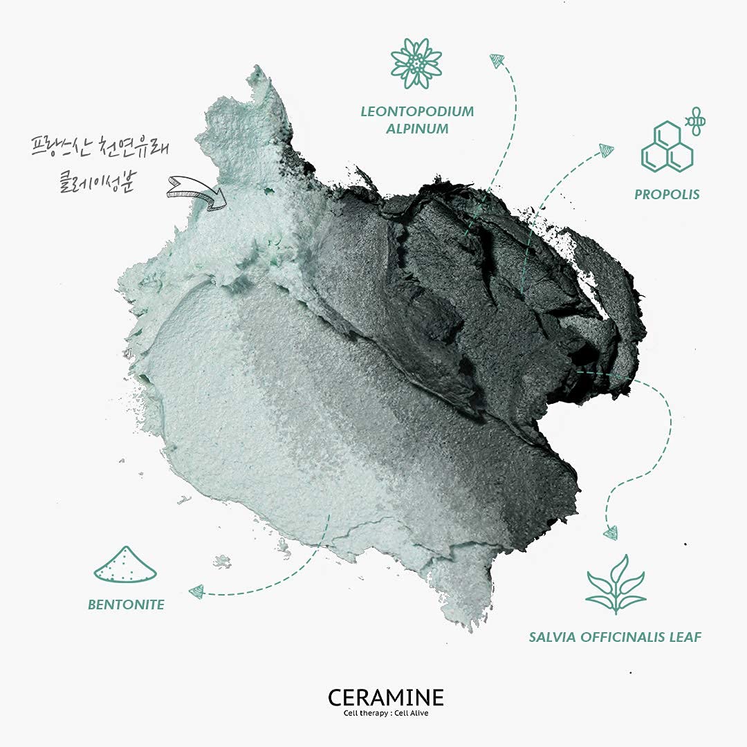Transforming Clay Pack