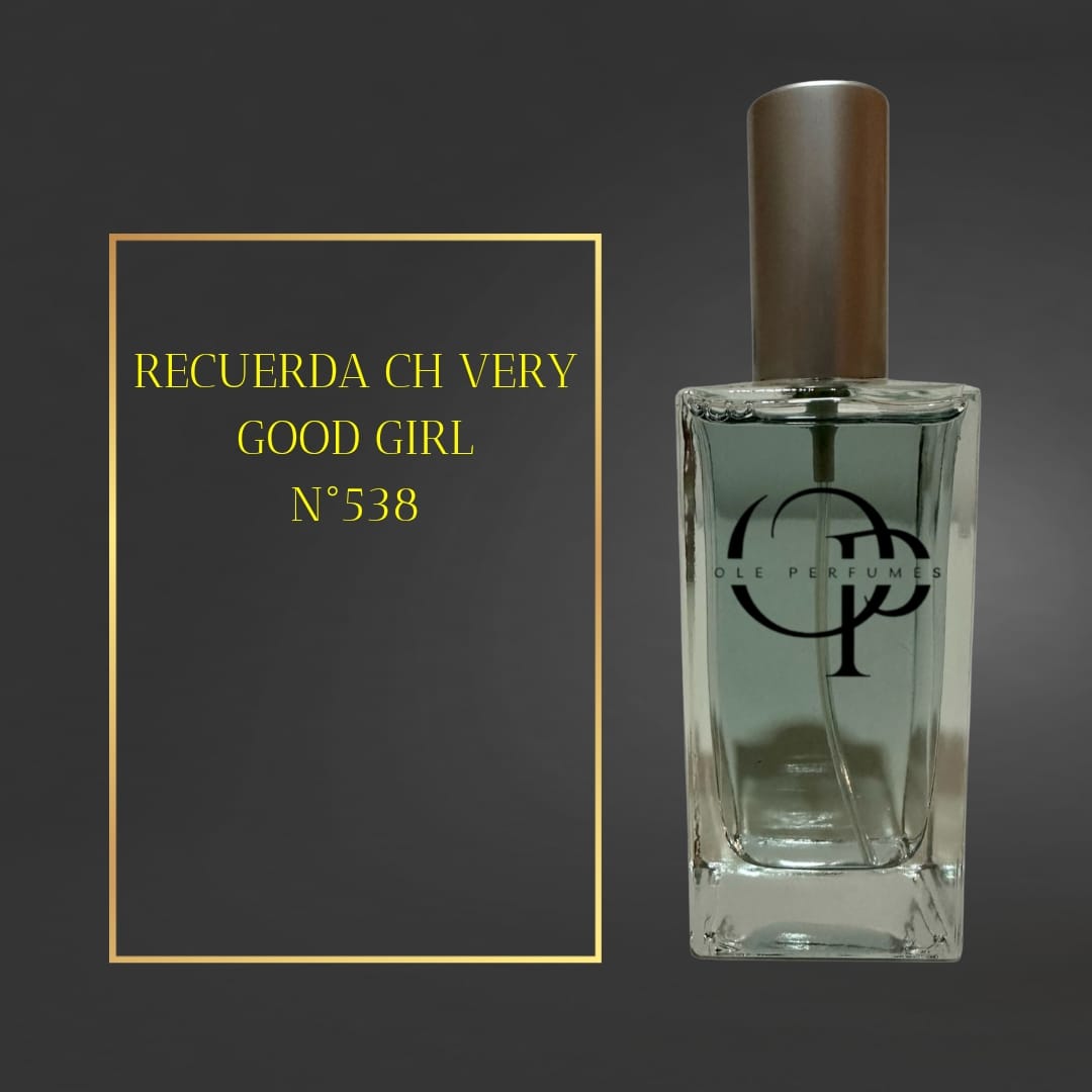 538 INSPIRADO EN  CH VERY GOOD GIRL