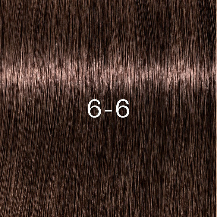 Schwarzkopf - Tinte sin Amoniaco Igora Zero AMM 6-6 Rubio Oscuro Chocolate 60 ml