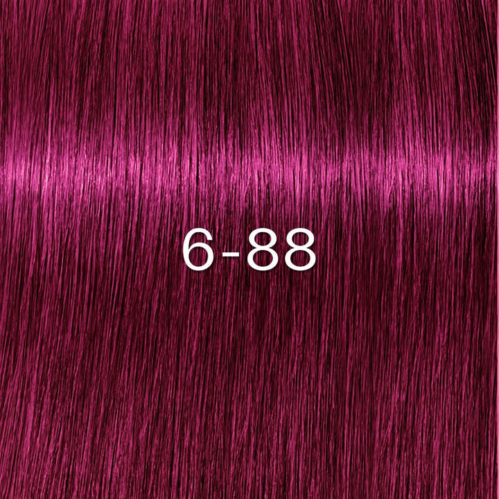 Schwarzkopf - Tinte sin Amoniaco Igora Zero AMM 6-88 Rubio Oscuro Rojo Intenso 60 ml